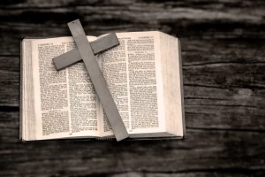 Image representing Christian stories and novels department